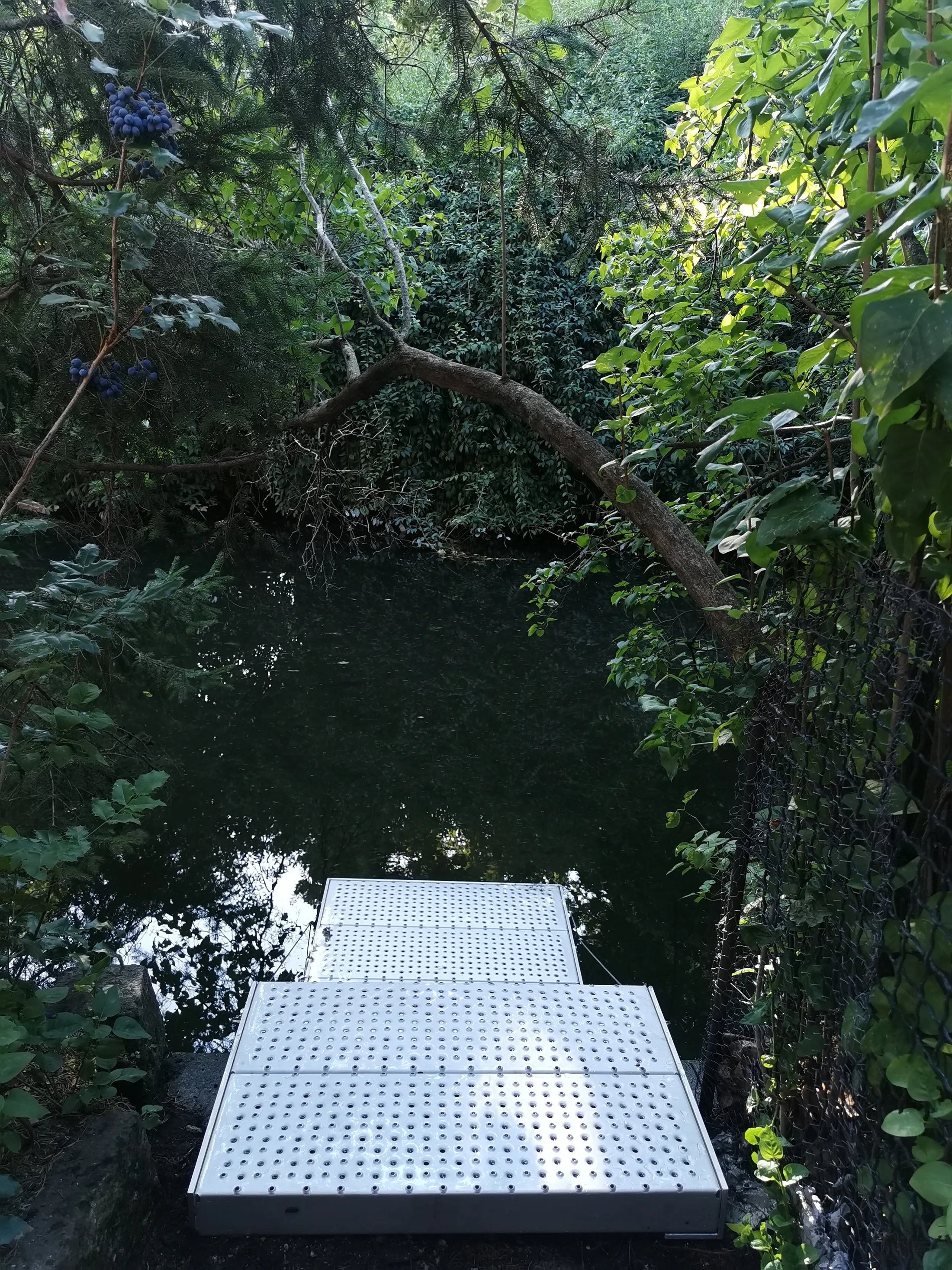 Treppe Aluminium zum Bach einklappbar – Treppen Referenz